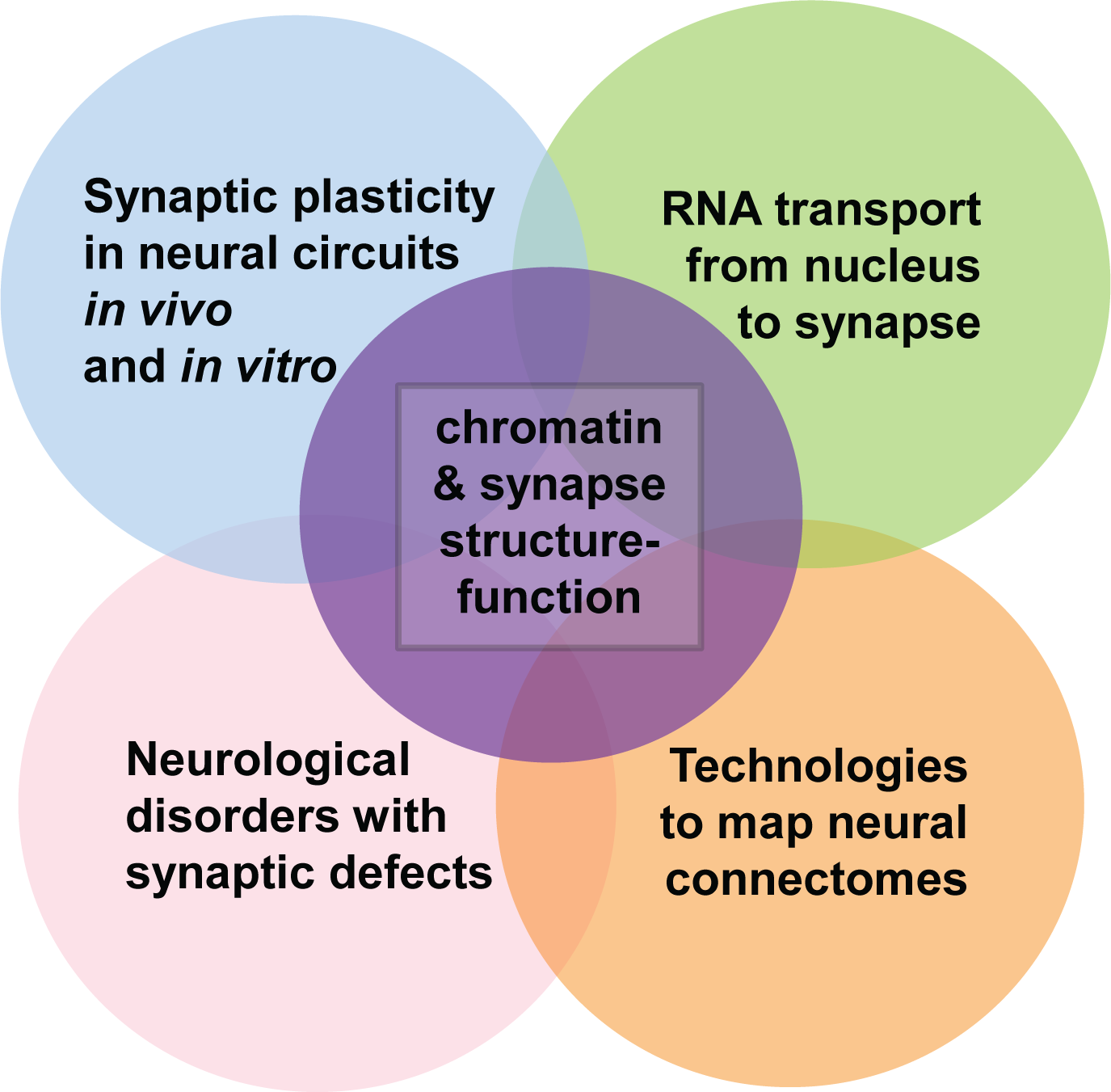 Venn diagram representation of the Cremins Lab research